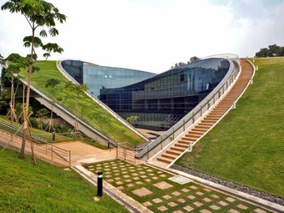 常见作物需肥规律及施肥建议